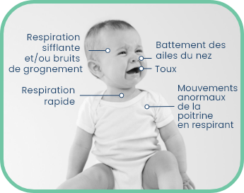 bébé en train de pleurer, avec symptômes du VRS indiqués : respiration sifflante et bruits de grognement (tête), bruits nasaux (nez), toux (bouche), respiration rapide (gorge) et mouvements anormaux de la poitrine lors de la respiration (poitrine)