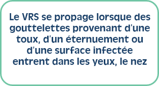 Le VRS se propage lorsque des gouttelettes provenant d’une toux, d’un éternuement ou d’une surface infectée entrent dans les yeux, le nez ou la bouche. 
