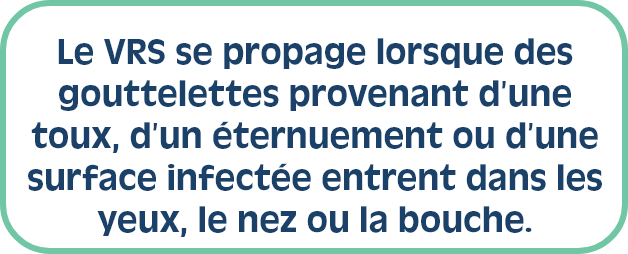 Le VRS se propage lorsque des gouttelettes provenant d’une toux, d’un éternuement ou d’une surface infectée entrent dans les yeux, le nez ou la bouche. 