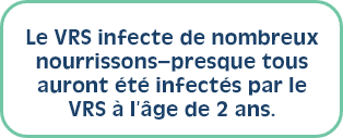 Le VRS infecte de nombreux nourrissons–presque tous auront été infectés par le VRS à l’âge de 2 ans. 